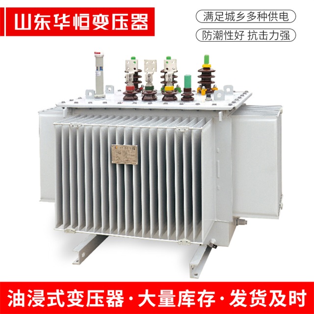 S13-10000/35阜宁阜宁阜宁电力变压器